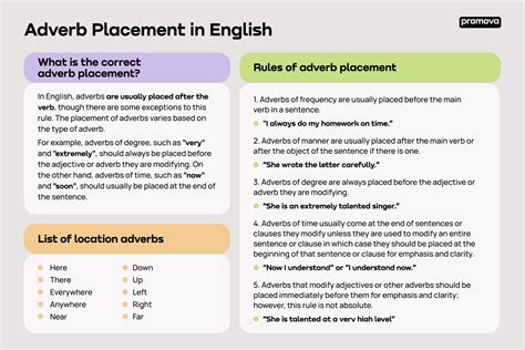 Adverb Placement In English Promova