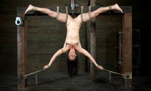 BDSM Slaves 44 Porn Pictures XXX Photos Sex Images 1519830 PICTOA