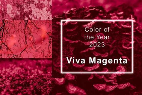 Viva Magenta Color Stock Photos, Images and Backgrounds for Free Download