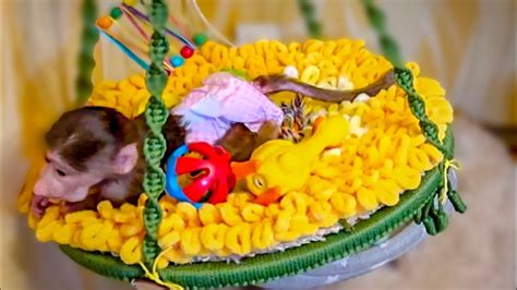 Маняшке очень понравились ВОЗДУШНЫЕ КАЧЕЛИ, а Степа их побаивается пока ...