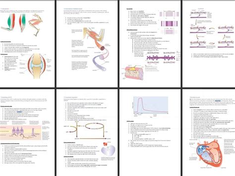 Snab A Level Biology Topic 7 Notes Teaching Resources