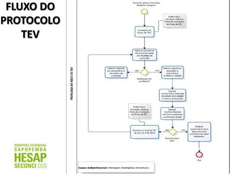 A Experi Ncia Do Hesap Na Implementa O Do Protocolo Tev Desafios E