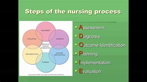 Nursing Process Theory Diagram The Nursing Process