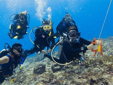 padi drift diver ocean dive league