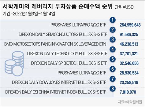 연초부터 美 3배 레버리지 Etf쓸어 담는 서학개미 열흘간 6250억 매수