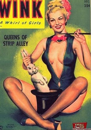 Classic Retro Porn Several Erotic Vintage Magazine Cove XXX Dessert