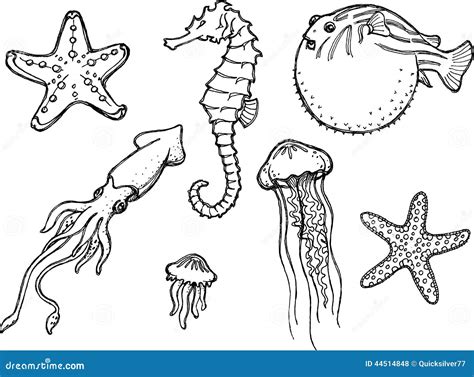Hand Drawing Styles Aquatic Animals Ocean Stock Vector 49 Off