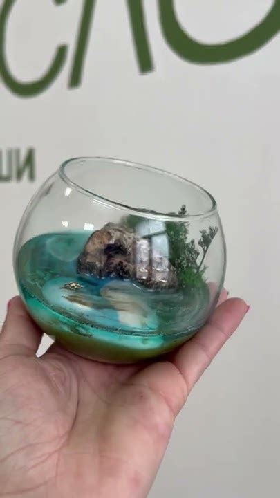 Флорариум из эпоксидной смолы #epoxyresin #epoxy #epoxyartist#shorts# ...