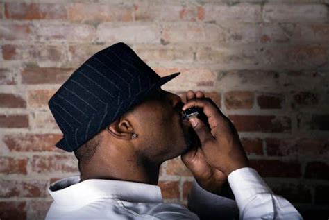 Harmonica Types A Comprehensive Guide To Diatonic Chromatic Tremolo
