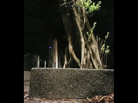 Shemaleting Xuan Outdoor Pee And Show The Underwear XVIDEOS