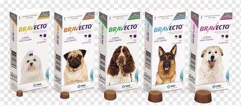 Perro Fluralaner Pet Shop Antiparasitario, Pulgas., animales ...