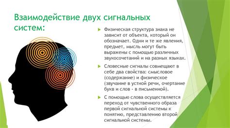 Первая и вторая сигнальные системы человека - презентация онлайн