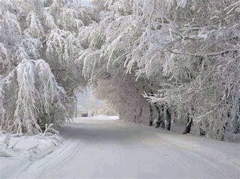 Winter - www.magnolia.com | Landschappen