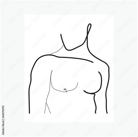 Naked Man Torso Minimal Handrawn Line Art Illustration Isolated On White Background Vector