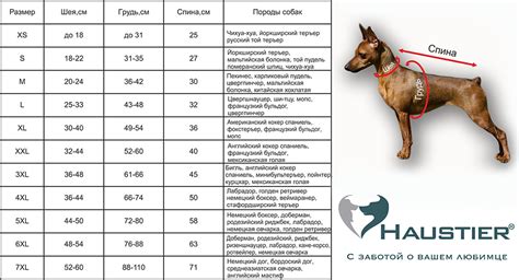 Как правильно мерить рост: Как правильно измерить рост? Как правильно ...