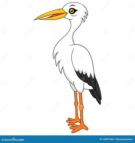 White Stork Cartoon Stock Vector Illustration Of Artwork 144091066