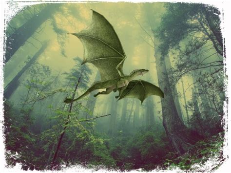 O Que Significa Sonhar Com Dragao - Sonhar com Dragão: Qual é o REAL significado desse sonho?