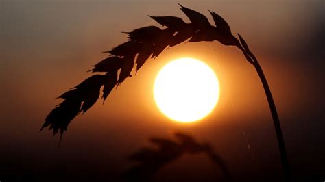 Война и голод. Кто и как может разблокировать украинские порты