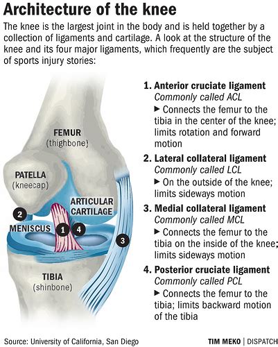 Knee Ligament Damage