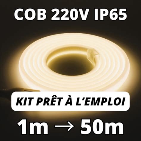 Kit Ruban Led Cob V Blanc Neutre K Ip Vente Au M Tre