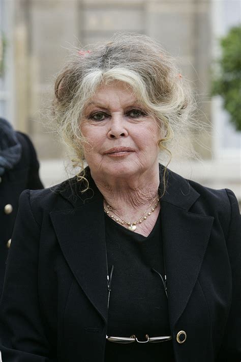 French Sex Symbol Brigitte Bardot Gets A New Docuseries Makes Racist