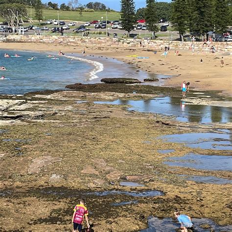 Terrigal Boardwalk All You Need To Know Before You Go