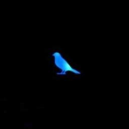 Blue Bird (English and Japanese TV Size) - Song Lyrics and Music by ...