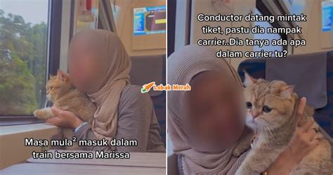 Takkan Tak Tahu Wanita Bawa Kucing Naik Train Dikecam Netizen