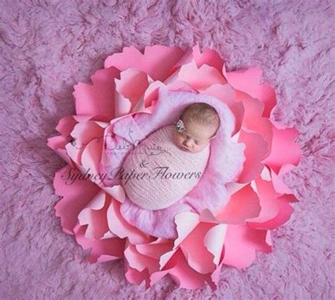 идеи для фотосессии новорожденных: цветок | Kinderfotografie, Fotografie