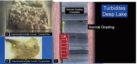 A) Front view of experimental turbidity current showing turbulent ...