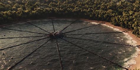 Every Named Tribute in the 50th Hunger Games, Ranked by Death Order