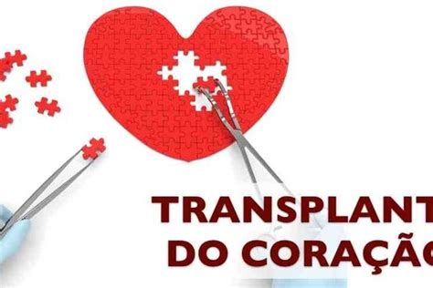 Transplante De Cora O Como Feito Riscos E Recupera O Tua Sa De