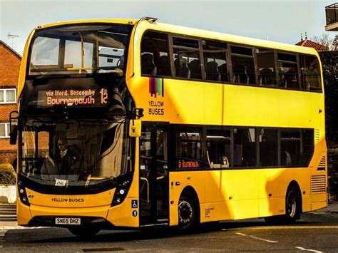 Actual yellow bus : r/bus