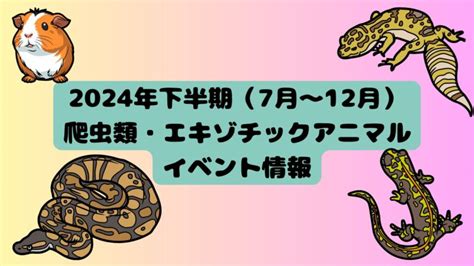 【2024年7〜12月最新】爬虫類・エキゾチックアニマルイベント【即売会】│はちゅらいふ