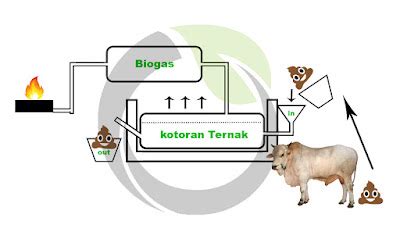 Bagaimana Proses Pembuatan Biogas Ujian