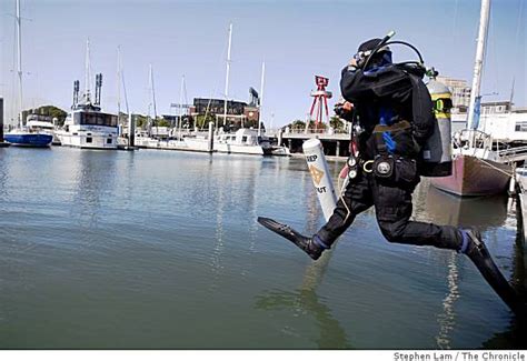 Divers Battle Fast Growing Alien Kelp In Bay