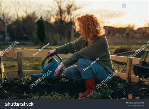 Mature Woman Gardening Her Backyard Garden Stock Photo