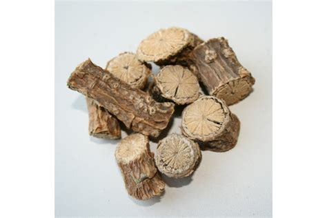 Тиноспора сердцелистная лиана купить в Москве | Bimala.ru