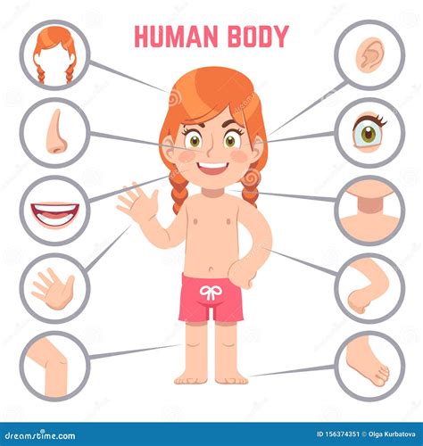 Части тела девочек Ребенок с глазом, носом и грудью, головой колени ...