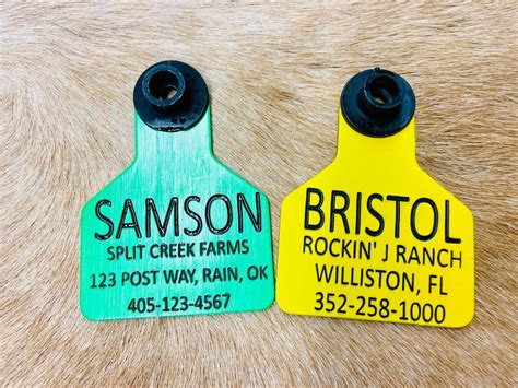 storm emergency horse id tag engraved plastic hurricane id tag horse