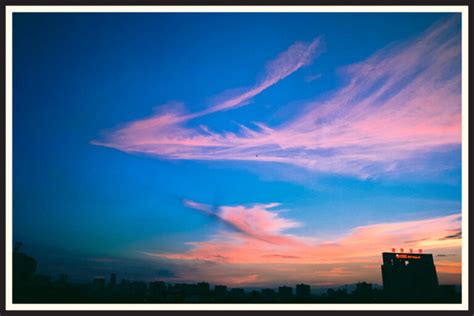 Kodak Ektar 100 Pros And Cons 50 Sample Photos
