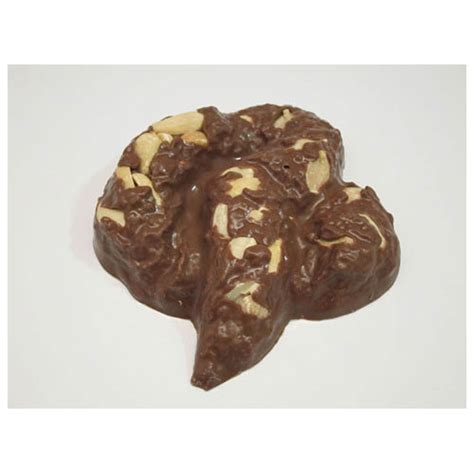 Chocolate Poop Crap Shit Chocolate Dog Turd Insulting Joke Or Gag