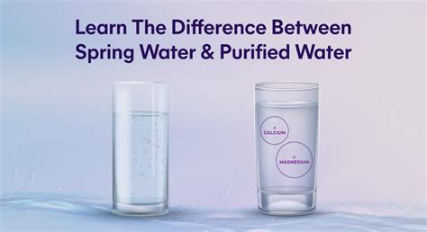 Purified or Spring Water: Which Is Healthier?