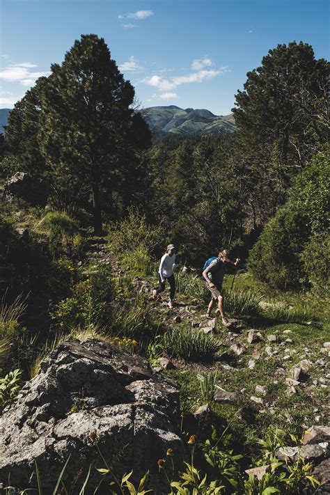 Hiking Trails Hiking In New Zealand | Backroads Pro Tips