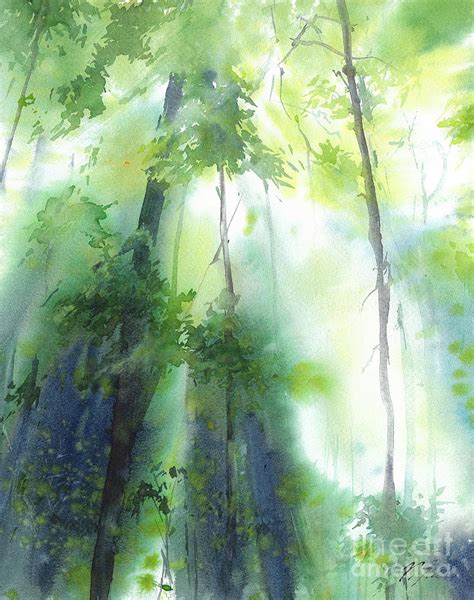 Summer Forest Watercolor Art Painting By Yulia Shevchenko Fine Art