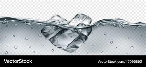 Ice cubes floating in water Royalty Free Vector Image