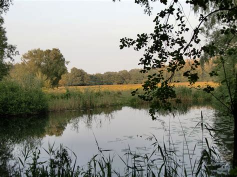 Wallpapers Amateur Animaatjes Nl