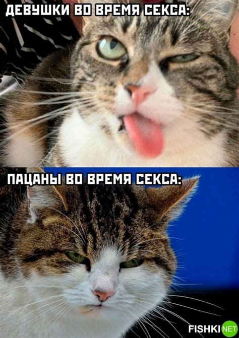 Картинки животных | Пикабу