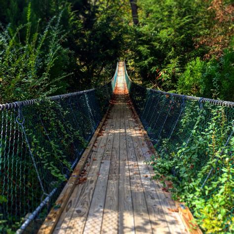 15 Unique Things to Do in Gatlinburg, TN