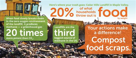 Negative Effects Of Food Waste At Wesley Doreen Blog